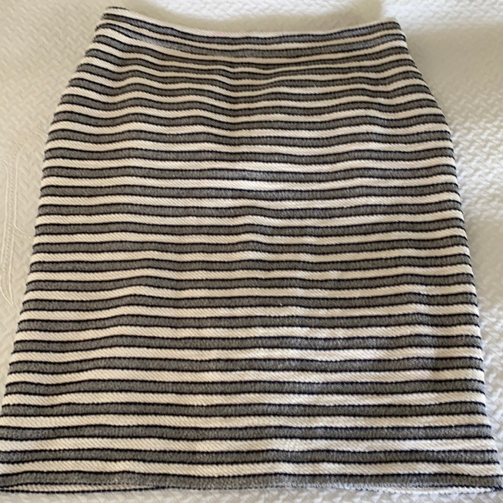 Jcrew skirt